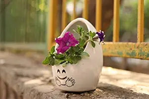 Lyallpur Stores Ceramic Planter Pot Oval Shape - Medium (White Color, 16.5 cm) Plant Not Included