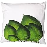Funkie (Hosta), Kissenbezug, Wendekissen: grün oder grau, Baumwolle, 50x50cm