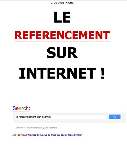 Télécharger Le referencement sur internet PDF