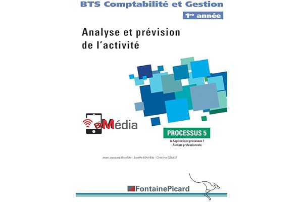 Processus 5 Analyse et prévision de l'activité BTS Compabilité et Gestion 1re année
