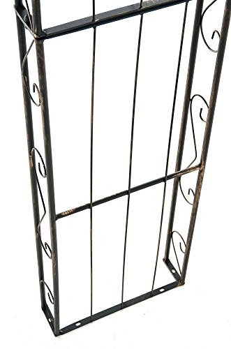 CLP Rosenbogen SUN Eisen pulverbeschichtet ( Metall ) Breite 160, Tiefe 35 cm, Höhe 260 cm bronze - 8