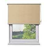 Unser hochwertiges Verdunkelungs-Rollo ist die ideale Lösung für Ihre Fenster. Mit unseren Verdunkelungs-Rollo schützen Sie nicht nur Ihre Privatsphäre, sondern halten Ihre Räume auch dunkel.