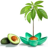 Amazon.es: Kits de cultivo en casa: Jardín