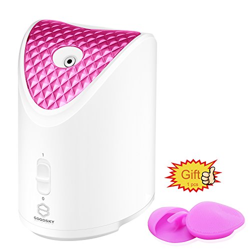 GOODSKY Face Steamer Nano Ionique chaud vapeur à la vapeur visage visage et soins de la peau professionnelle pour Blackhead et traitement de l'acné et des sinus