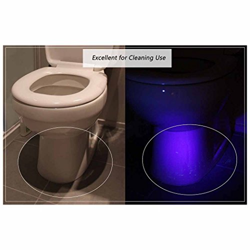 Schwarzlichtlampe Morpilot 12 LED UV Taschenlampe Schwarzlicht für eingetrocknete Flecken Ihrer Hunde, Katzen und Nagetiere auf Teppichen, Vorhänge , Gardinen, Möbel und anderen Stoffen ,sogar für Nagel trocken (Batterien nicht im Paket) [Energieklasse A+++] - 5