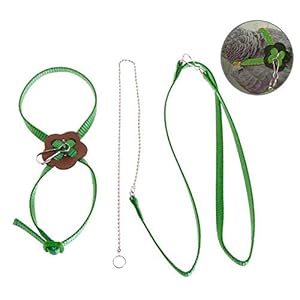 KOBWA Bird Leash, Arnés y Correa Ajustables Anti mordeduras para Entrenamiento al Aire Libre, Cuerda de Paseo, Loro, cacatúa, cacatúa, Cuello Redondo, paracakeet, cóctel, tamaño pequeño, pájaros