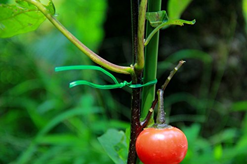 2er Bindedraht mit Dem Eingebauten Cutter, Verwendet Als Kabelbindern / Recyclables, Multi-Use für Die Sicherung Von Pflanzen Oder Elektrogeräten Bei Schlechtem Wetter / Nützliche Artikel in Ihrem Werkzeug Tasche und Hause (100M / 328 Feet Pro Roll) - 5