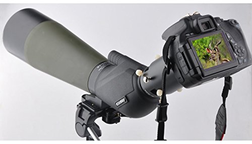 solomark T2 en m tal Support adaptateur pour objectif d appareil photo pour Nikon SLR et Longue-vue avec adaptateur 42 mm oculaire ports solomark T2 en m tal Support adaptateur pour objectif d appareil photo pour Nikon SLR et Longue-vue avec adaptateur 42 mm oculaire ports