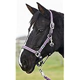 Busse Halfter STEVE, WB, flieder/violet