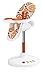 Cosatto 3Sixti Highchair - Squash