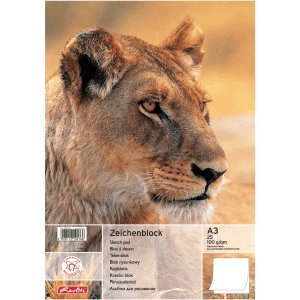 Preisvergleich Produktbild Herlitz 5 x Zeichenblock A3 25 Blatt 100g / qm geleimt