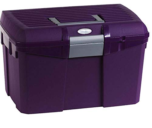 Preisvergleich Produktbild Amesbichler Putzbox Norton, lila / grau / Putzkiste / Putzkoffer / Putzkasten