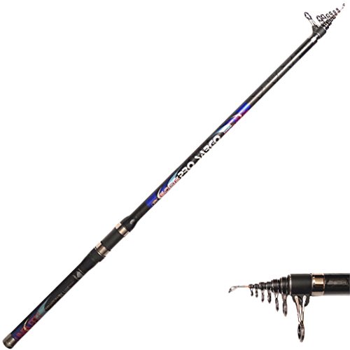 Preisvergleich Produktbild Stellfischrute Pro Sargo Lineaeffe 5,00m 100g Wg