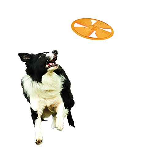 Nerf-Dog-TPR-Flyer-10-Inch-Orange