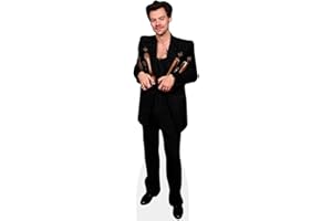 CELEBRITY CUTOUTS Harry E. Styles (Awards) Pappaufsteller mini