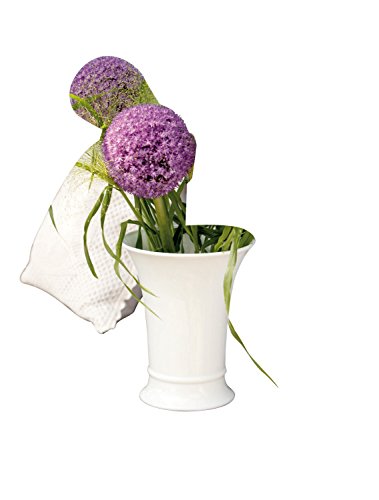 Basic-Vasen Vase 15 cm Weiss - 3