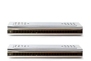 YUEKO Swan 2-in-1 Dual-sided Tremolo Harmonica Mouth Organ Dural Key of C&G 24 Double Holes Reed Wind Instrument with Padded Box Cleaning Cloth