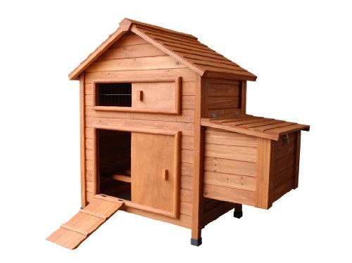 Notre Comparatif Des Poulaillers Du Marché Poulailler Infocom