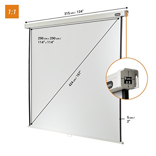 celexon screen Manual Professional | Format 1:1 | 300 x 300 cm | Projector screen for every type of projector, Full HD and 3D | Easy installation, good surface