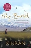 Image de Sky Burial