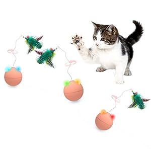 Nice Dream Juguete Interactivo para Gatos, Bola de Gato con Plumas, Rotación Automática Juguetes para Gatos Pelotas, Juego Divertido de Toys for Cat Balls (Naranja)