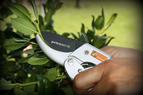 Gartenpaul Ratschen Gartenschere | Premium | Amboss Gartenschere | Stufenschere - 9