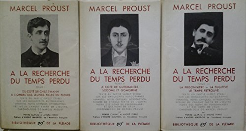 couverture de : &agrave; la recherche du temps perdu