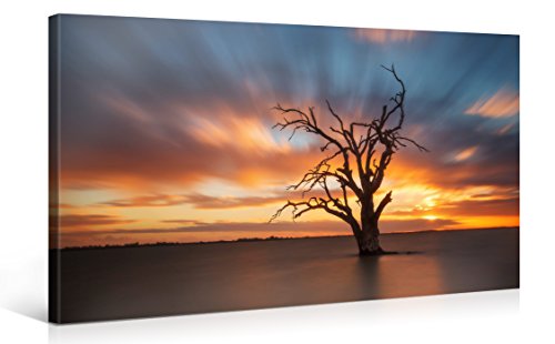 Gallery of Innovative Art - Dead Tree Sunset - 100x50cm - Larga stampa su tela per decorazione murale - Immagine su tela su telaio in legno - Stampa su tela Giclée - Arazzo decorazione murale