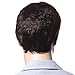 Songmics New Fashion Brown Short Wig for Men Full Hair 28cm WMS123