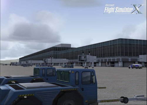Flight Simulator X - Professional Edition  Importaci  n alemana 