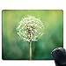 Produktbild Tarassaco - Tappetino per mouse - Base in gomma antiscivolo - Tessitura con trama speciale