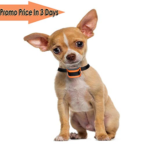 MASBRILL-Collier-de-Chien-Qui-aboie-pour-25-25-kg-Petits-Chiens-Collier-de-Dressage-Anti-aboiement-Intelligent-avec-Puce-et-Sons-amliors-avec-Son-et-Vibrations-Aucun-Danger-S-Orange
