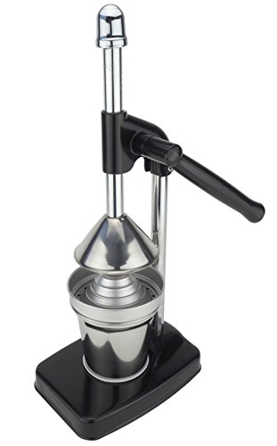 TheKitchenette 5040053 Presse Agrumes, Acier Inoxydable, Gris, 38 cm