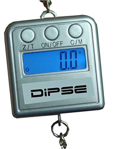 Preisvergleich Produktbild DIPSE HS 300 Hängewaage / Münzwaage (0,1g / 300g)