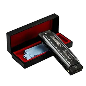 East top Harmonica, Blues Diatonic Harmonica Mouth Organ Key of C, 10 Holes 20 Tones Harmonica For Adults, Kids, Beginners, Professionals and Students?Silver grey?