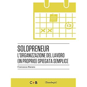 Solopreneur: L'organizzazione del lavoro (in proprio) spiegata semplice (I Prof)