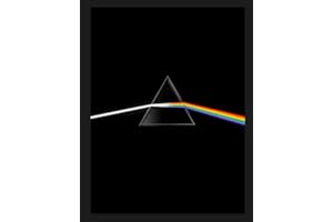 Pink Floyd their mortal remains Le livre officiel