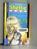 Sheltie et le chien perdu