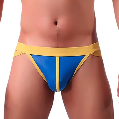 Hahua Mens Underwear Brief Shorts Underpants Sexy Bikini Thongs Sleepwear Pants (Blue, L)
