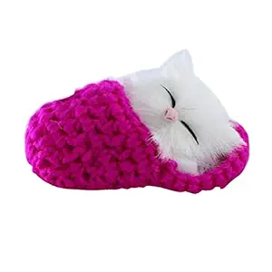 Pet Believe Sleeping Cat Toy in Shoe with Meows Sounds Chistmas Gifts for Kids Boys Girls (Rosy)