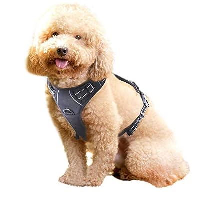 rabbitgoo Harnais Chien Réglable Gilet Chien avec Poignée Contrôle Harnais Réfléchissant Matériau Respirante Durable Couleur Noir Taille S
