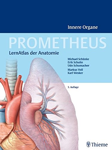 Free Prometheus Innere Organe Lernatlas Anatomie Pdf Download Jasperbaz
