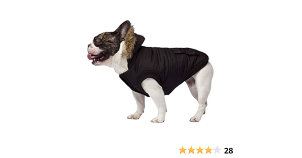 canada goose dog jacket amazon