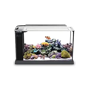 Fluval Evo V Marine Aquarium Kit-5 Gal