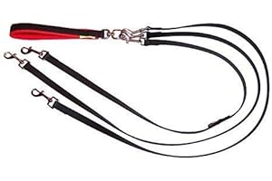 BALDOLINO Original Drillingsleine Biothane Doppelleine für DREI Hunde, gepolsterte Handschlaufe, ab 15 kg