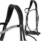 Größe: Warmblut / Full, Vollblut / Cob