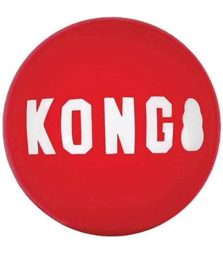 KONG Signature Ball Hundespielzeug – Größe L, Robust, Für Apportierspiele