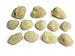 Constantia Beauty 12 Pack Natural Sea Silk Sponges 1.5"-3" Sizes for Cosmetic Use
