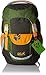 Produktbild Jack Wolfskin Kinder Kids Explorer 16 Rucksack, Antique Green, ONE Size