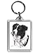 Price comparison product image Mike Sibley Border Collie Dog Keyring